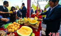 黎平吃瓜最新事件爆料,最新爆料揭秘幕后真相