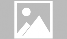 樱花动漫网站官网,探索日本动漫文化的魅力之门