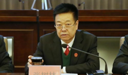 张树林,从平凡走向卓越的奋斗之路