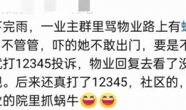 吃瓜群爆料网红小说,揭秘网红小说背后的真实故事